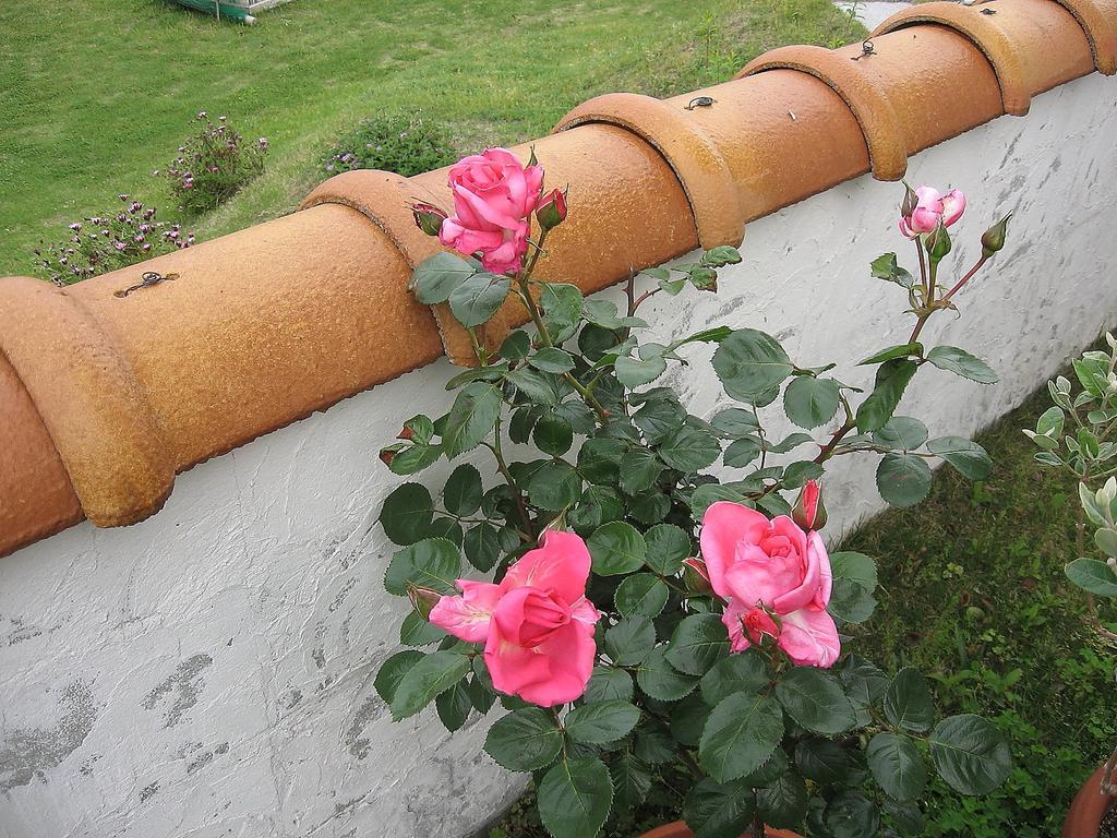 טאטיאמה Hillside Inn Sirocco מראה חיצוני תמונה